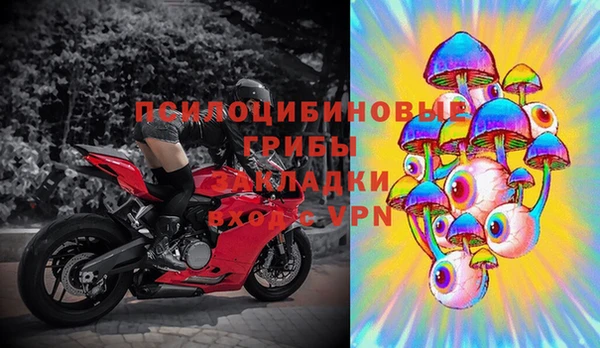 амф Аркадак